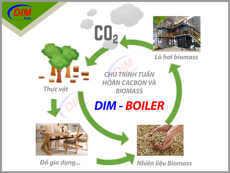 LÒ HƠI TẦNG SÔI BIOMASS