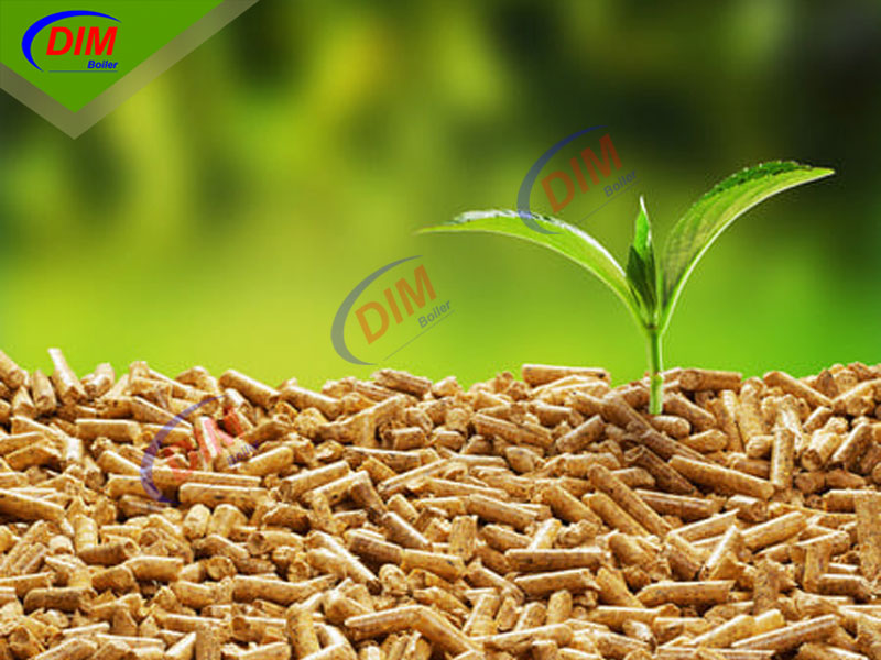 Biomass là gì? Tìm hiểu về lò hơi biomass mang về hàng trăm tỉ đồng